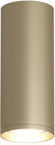 Точечный светильник накладной Denkirs Tube DK2051-SG (220V, круглые)