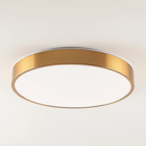 Потолочный светильник светодиодный Zortes Tortty ZRS.02566.72