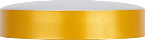 Потолочный светильник светодиодный ЭРА Relict 22 SPB-6-20 4К MG