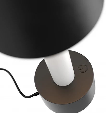 Интерьерная настольная лампа Maytoni Tet-a-tet MOD104TL-3AB3K (LED, выключатель)