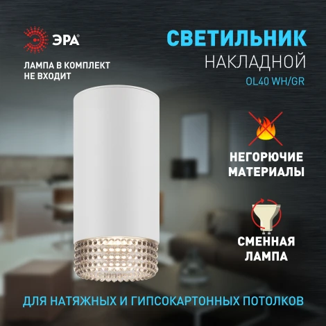 Точечный светильник ЭРА OL40 WH/GR