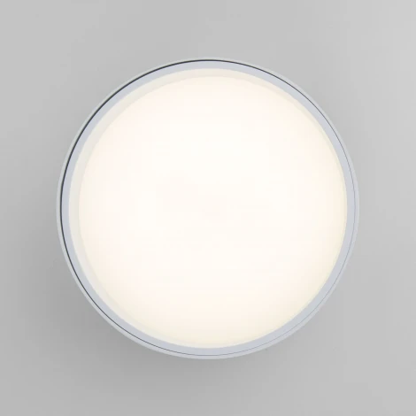 Точечный светильник накладной светодиодный Elektrostandard Banti 25123/LED (220V, круглые)