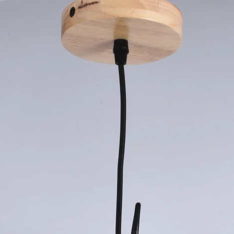 Подвесной светильник ILLUMICO IL1011-1P-05 BK (220V, на проводе)