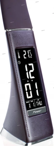 Интерьерная настольная лампа Arte Lamp Supervisor A1706LT-1BR