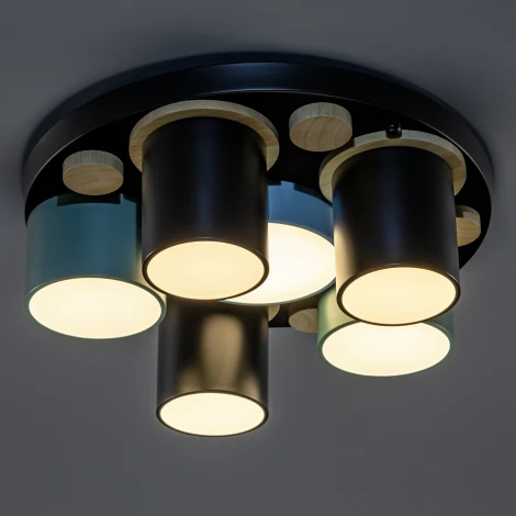 Потолочный светодиодный светильник с ДУ Ritter Scandia 52075 7