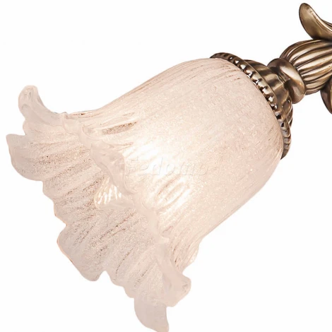 Подвесная люстра Silver Light Gioconda 730.53.3