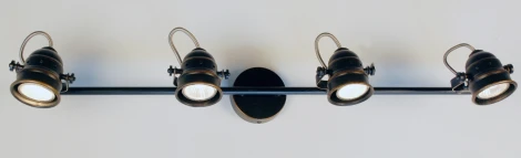 Спот на штанге Citilux Веймар CL537541 (220V, круглые)