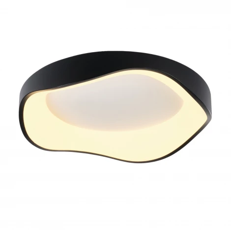 Потолочный светодиодный светильник круглый MyFar Diona MR9171-CL (регулировка яркости, 220V, пульт управления, круглые)