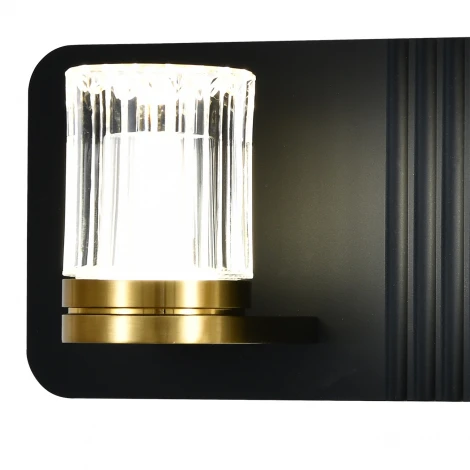 Настенный светильник светодиодный (14032/2W Black) Indigo Rilievo V000202L (220V)