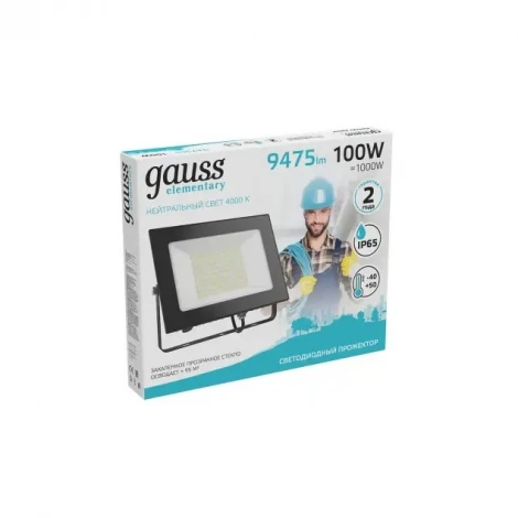 Прожектор уличный Gauss Elementary 613100110 (LED, 220V, IP65)