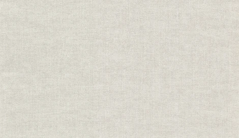 Обои виниловые Marburg Project 31809 10,05 x 0,53 м