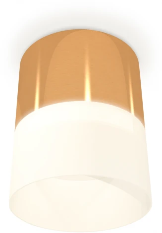 Накладной точечный светильник Ambrella Techno Spot XS8121011 (220V, круглые)