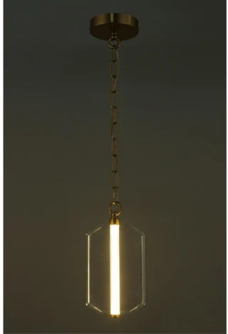 Подвесной светильник LED Aployt Lakres APL.070.06.05 (220V, на цепи)