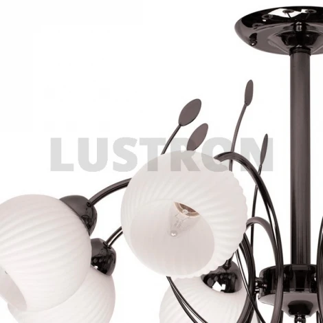 Потолочная люстра MW-Light Грация 358014508