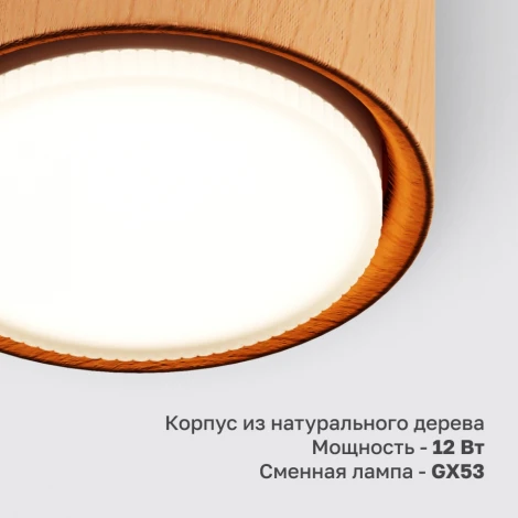 Потолочный светильник Nuvolt Fondo LDL-008RW