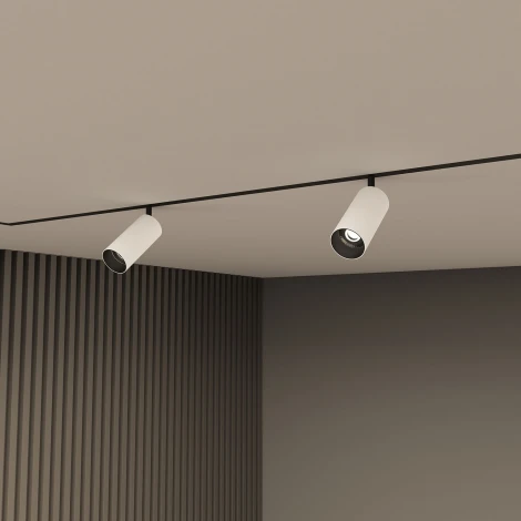Трековый светильник 220 Denkirs Smart Spot DK8041-BW+BK (LED, пульт управления, круглые)