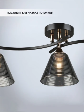 Потолочная люстра Wedo Light Dorika WD3636/3C-CF-FGD-SMK