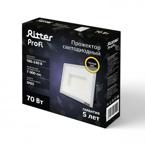 Прожектор уличный светодиодный Ritter PROFI 53429 1