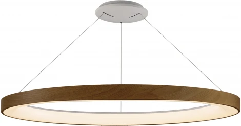 Подвесной светильник Mantra Niseko 8648 (регулировка яркости, LED, 220V, пульт управления, на тросе, кольцо)