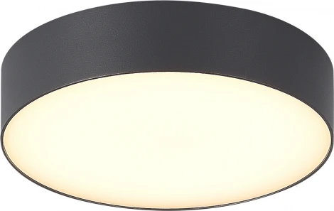 Потолочный уличный светильник ST-Luce Sun SL9518.702.01 серый/белый LED 1*20W (220V, круглые, IP65)