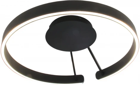 Потолочный светильник круглый светодиодный с пультом Mizi'en Leo MZ31371-600-PB (220V, кольцо)