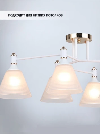Потолочная люстра Wedo Light Anneta WD3619/6C-WT-FGD-WT