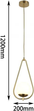Подвесной светильник F-Promo Quantum 2918-1P