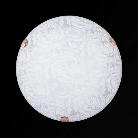 Настенно-потолочный светильник Sneha Перья мат (300) НПБ 01-2х60-001 (220V, круглые)