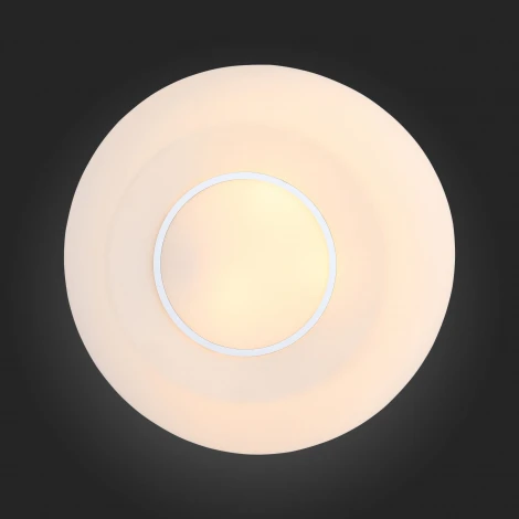 Настенно-потолочный светильник ST Luce Botone SL467.502.03