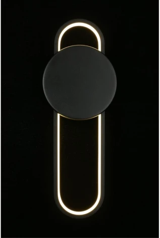 Настенный светильник LED Aployt Francesco APL.347.01.18 (220V)