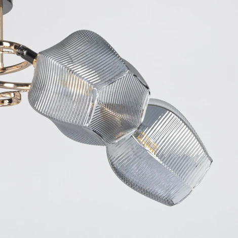 Потолочная люстра De City Акцент 680012205 (цветы)