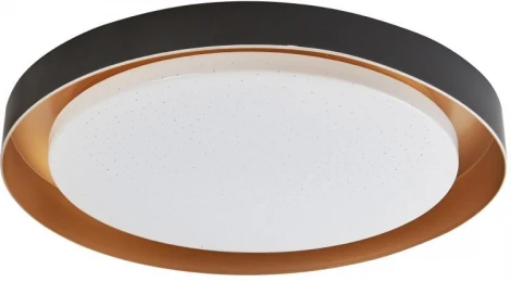 Потолочный светильник круглый светодиодный Arti Lampadari Vista Vista L 1.13.48 B (220V, круглые)