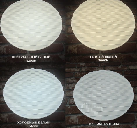 Потолочный светильник Seven Fires Ровер 45445.50.72.77