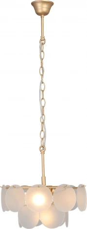 Подвесная люстра Vitaluce V5888-8/4 (220V, на цепи)