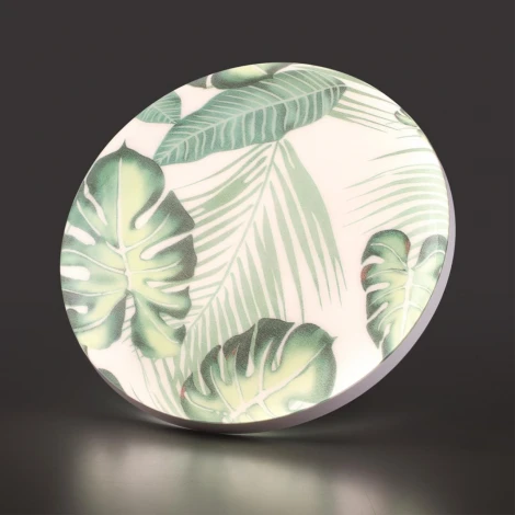 Настенно-потолочный светильник светодиодный Sonex Flori 7748/DL PALE SN пластик/белый/зеленый LED 48Вт 3000-6000К D380 IP43 пульт ДУ (220V, круглые)