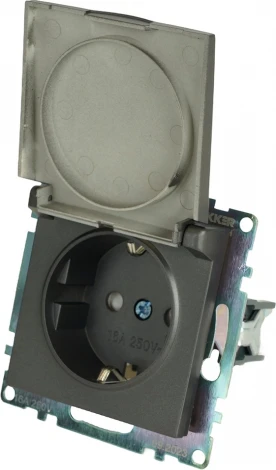 Розетка с заземлением защитной крышкой и шторками (графит) Stekker Катрин 49424