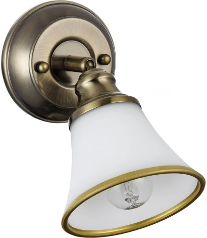 Спот Freya Jasinta FR2272-WL-01-BS (220V, круглые)