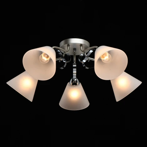 Потолочная люстра MW-Light Нежность 676014705