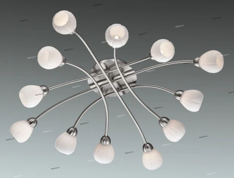 Потолочная люстра Odeon Light Akron 2469/12C