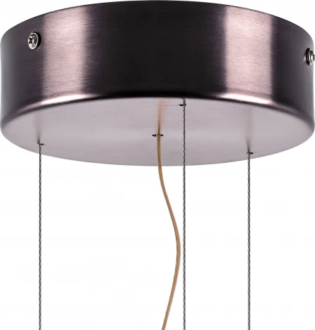 Подвесной светильник светодиодный Lightstar Celesta 809210 (220V, на тросе)