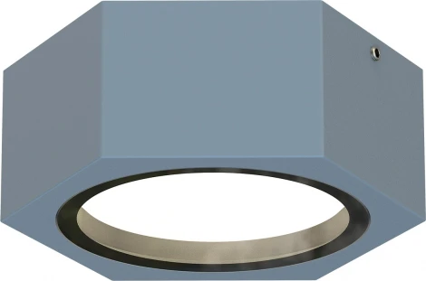 Потолочный светильник уличный Favourite Fantum 4666-1U (220V, круглые, IP54)