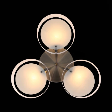 Потолочная люстра ST Luce Foresta SL483.352.03