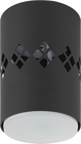 Точечный светильник ЭРА OL10 LD GX53 BK (220V)