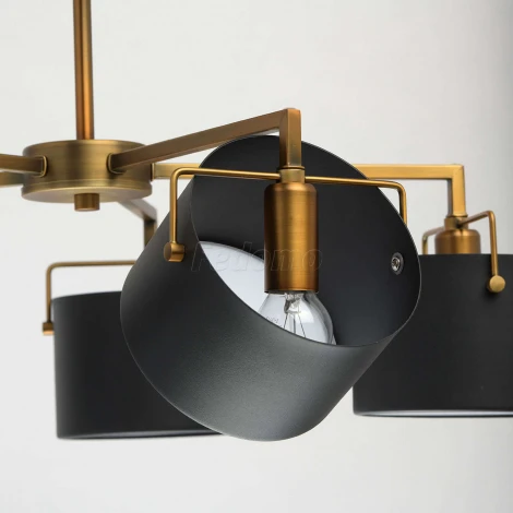 Потолочная люстра MW-Light Сайрус 721010205