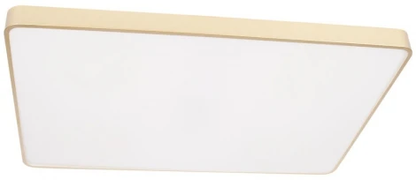 Потолочные светильники Loft It Flims 10228/E (LED, 220V)