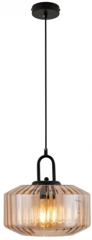 Подвесной светильник Lussole Laredo LSP-8848 (220V, на проводе, круглые, IP21)