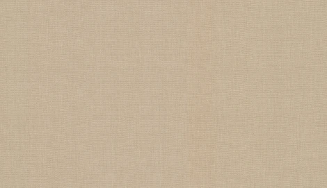 Обои виниловые Marburg Opulence Classic 58243 10,05 x 0,7 м