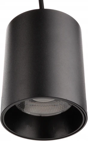 Подвесной светильник Ritter Arton 59985 2