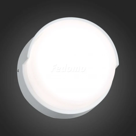 Настенный светильник уличный ST Luce Linata SL090.511.01