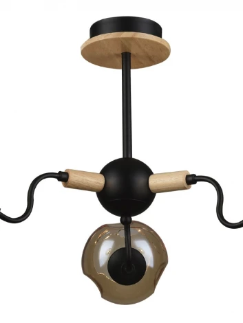 Потолочная люстра Wedo Light Sarika 66181.01.14.03